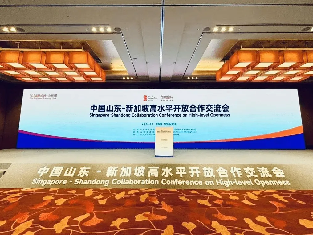 Singapore - Shandong Collaboration Conference on High-level Openness - 中国山东-新加坡高水平开放合作交流会 1