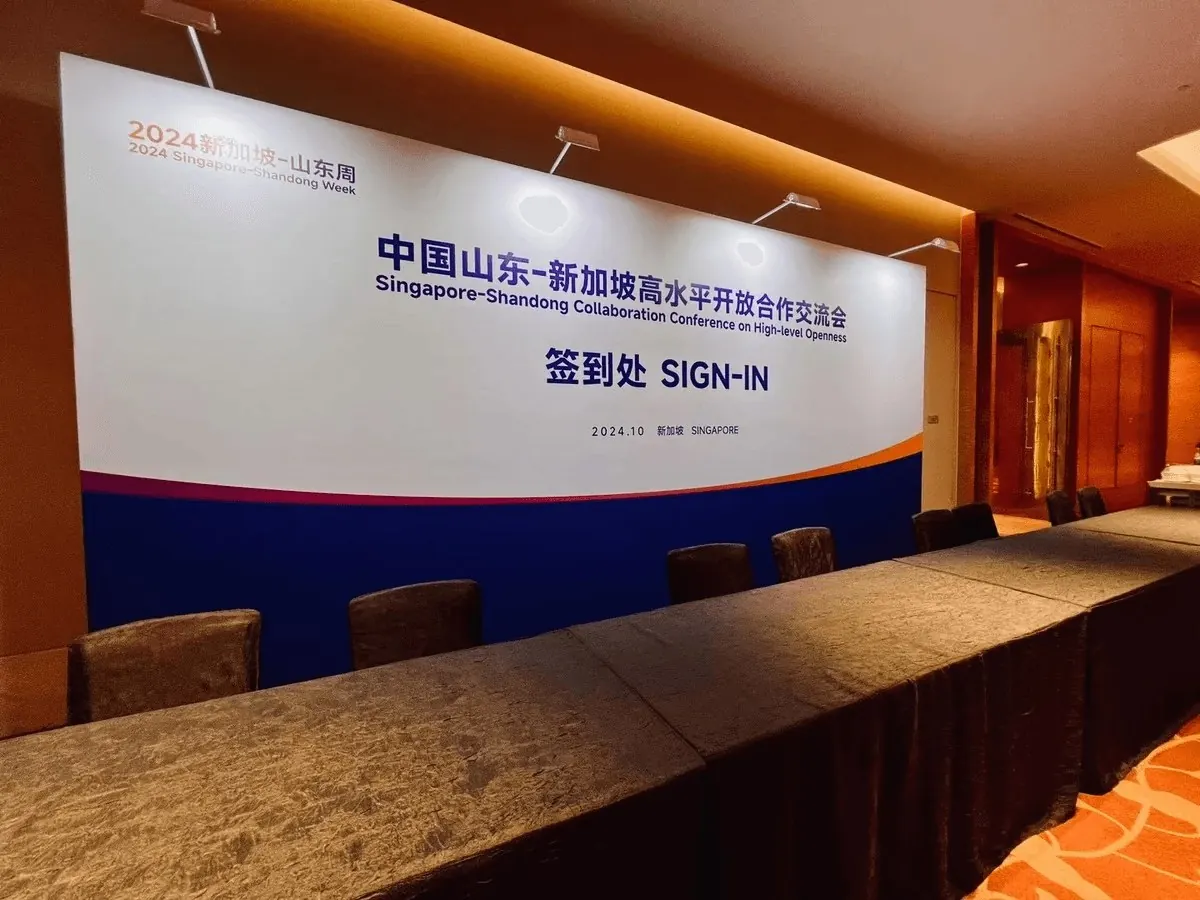 Singapore - Shandong Collaboration Conference on High-level Openness - 中国山东-新加坡高水平开放合作交流会 3