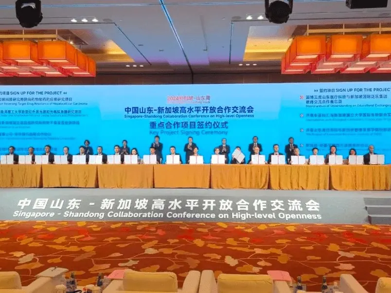 Singapore - Shandong Collaboration Conference on High-level Openness - 中国山东-新加坡高水平开放合作交流会 5
