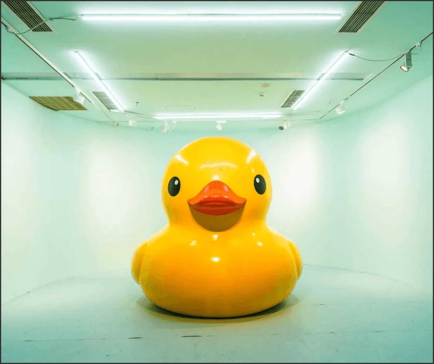Florentijn Hofman China solo touring exhibition production by ACT Creative