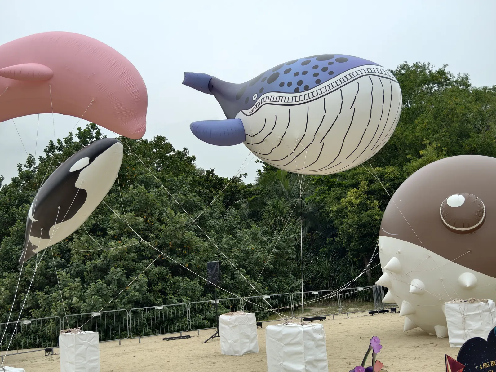 Daytime view of whale and floating forms before show lighting