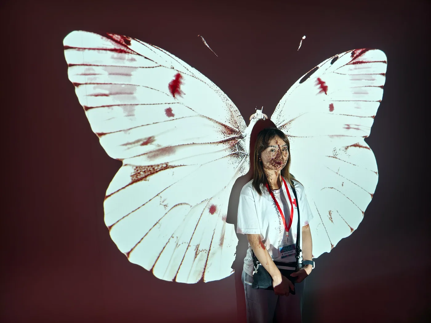 Butterfly projection wall inside the exhibition
